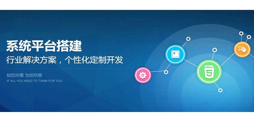 代写程序定做软件定制 delphi python c